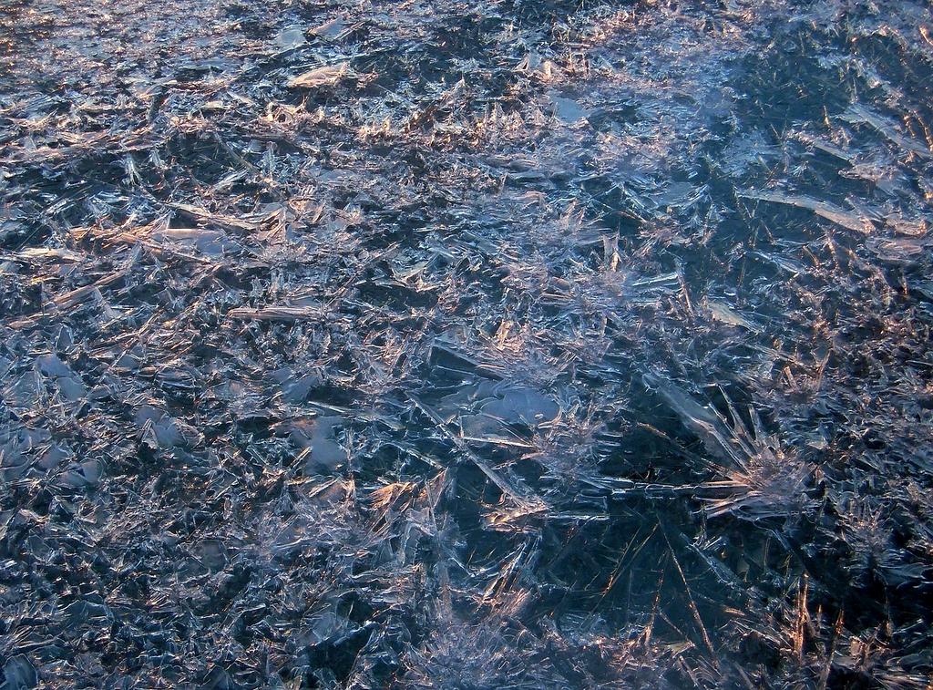 Illustration showing various file type icons interconnected